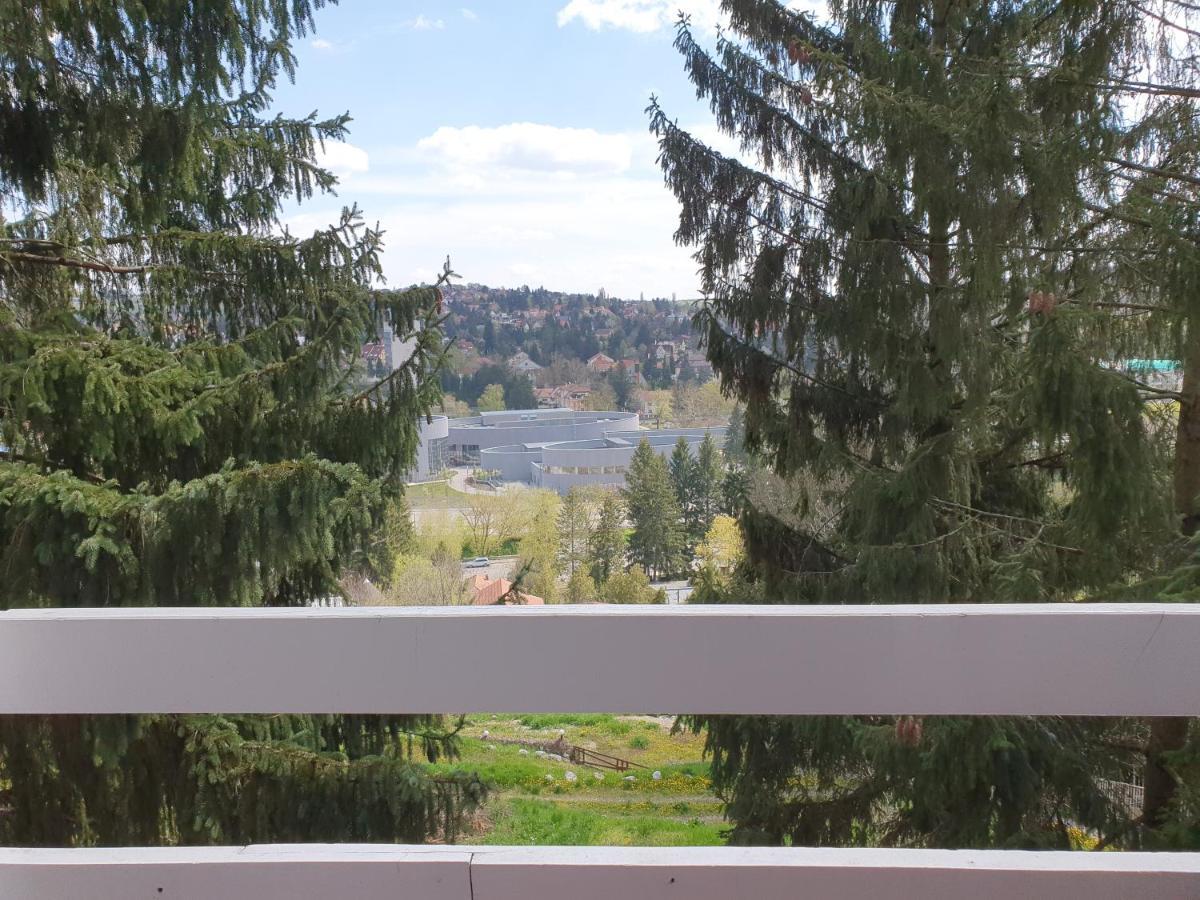 מלון מישקולץ Panorama Vendeghaz מראה חיצוני תמונה